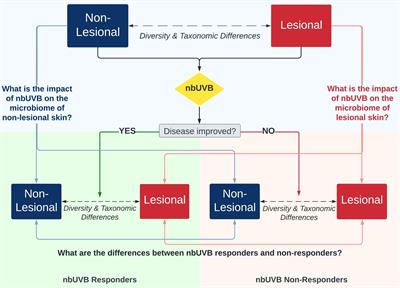 Narrowband ultraviolet B response in cutaneous T-cell lymphoma is characterized by increased bacterial diversity and reduced Staphylococcus aureus and Staphylococcus lugdunensis